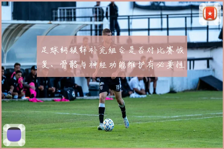 足球钙镁锌补充组合是否对比赛恢复、骨骼与神经功能维护有必要性