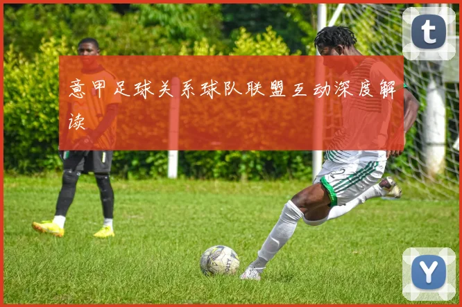 意甲足球关系球队联盟互动深度解读